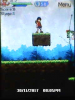 Pirate King 2